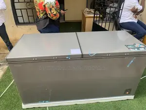 Hisense Fc-66dd Heavy-Duty Deep Freezer