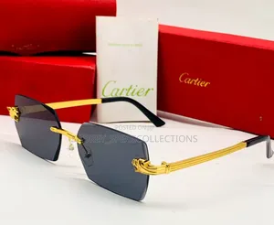 Owambe Designer Sunglasses for Men