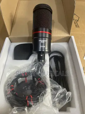 Studio Condenser Microphone