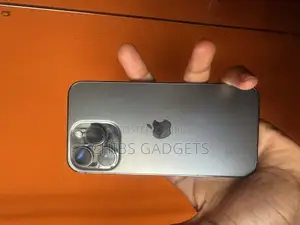 Apple iPhone 13 Pro 256 GB Gray