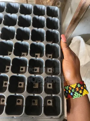 105cell Seedtray, Nursery Tray, Plant Starter, Plant Trays