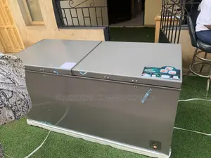 Hisense Fc-66dd Large Deep Freezer for Restaurants