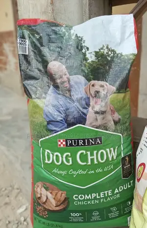 Dog Chow Dry Food
