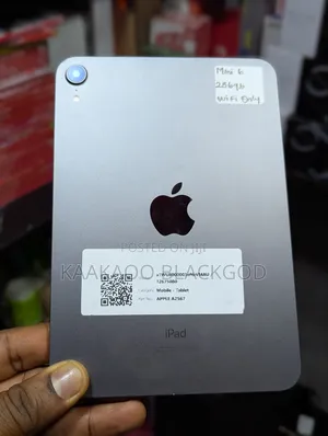 Apple iPad mini 6 256 GB Gray