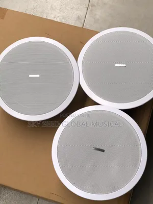 Original 80watts Lucky Tone Ceilings Speaker