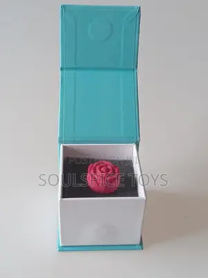 Ring Vibrator