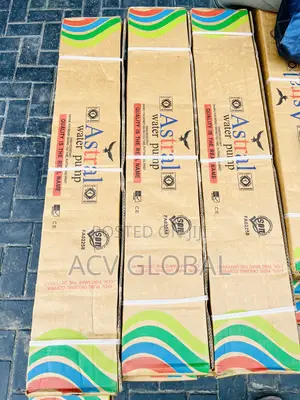 Astral Submersible Pump
