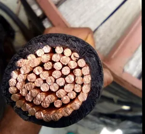 500mm PVC Cable Coleman