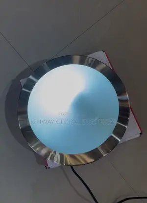 Vintage Satin Silver Ceiling Fitting Light