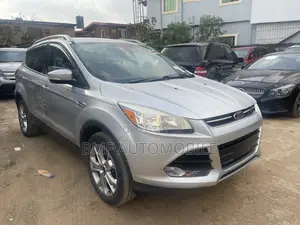 Ford Escape 2014 Silver