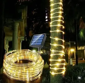 Gold Christmas Rope Light
