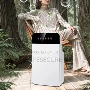 Air Purifier With Hepa Filter for Big Spaces