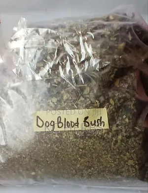 Dog Blood Bush Tea/Fertility Support 50g