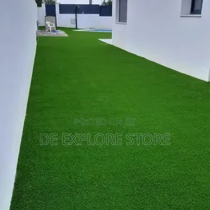 Carpet Grass Available in All Sizes