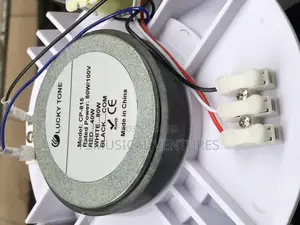 Lucky Tone 80watts Ceiling Speakers