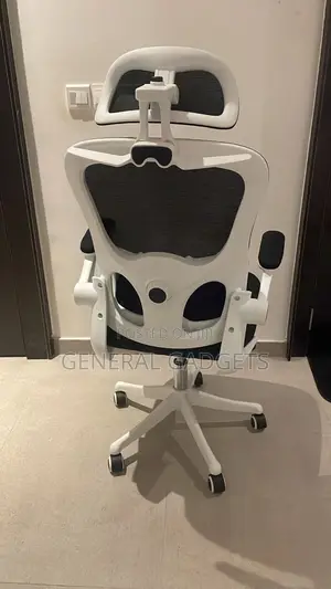Ergonomic Chair