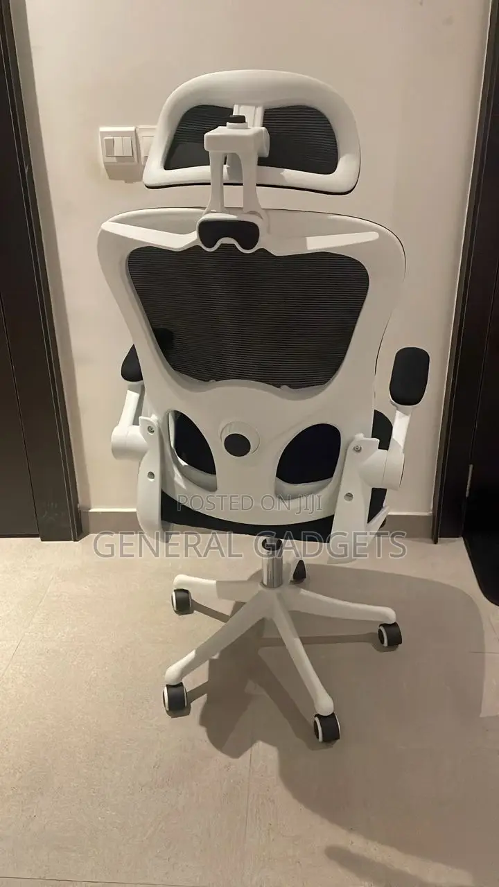 Ergonomic Chair