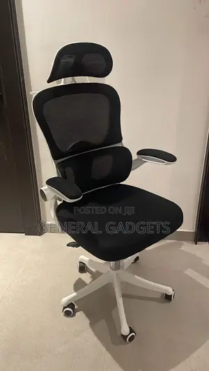 Ergonomic Chair