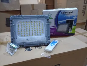 T 300 Solar Flood Light