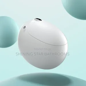 Smart Intelligent Egg Luxury Toilet Set
