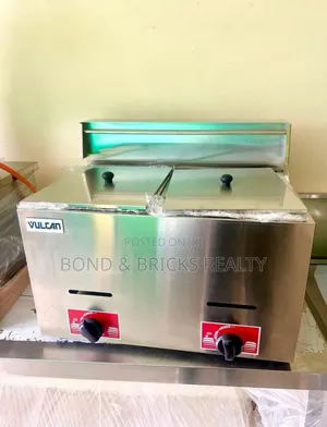 Double Deep Fryer