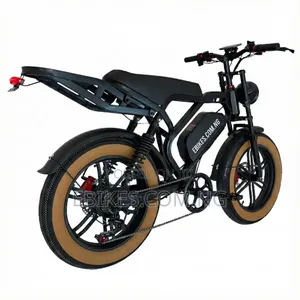 800w Super Powerful 20" Fat Tire Off-Road Electric Bicycle Bike Ebike