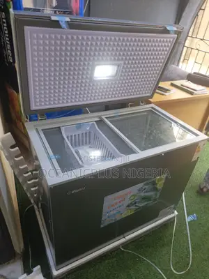 220l Snowsea Bd-308g Horizontal Chest Freezer