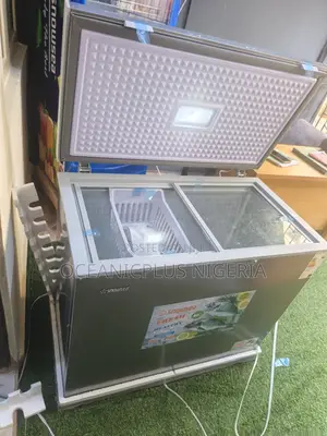 Snowsea Bd-308g Large Storage Chest Freezer