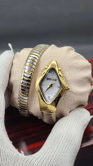 Roberto Cavalli Quality Luxury Ladies Chain Strap Wristwatch