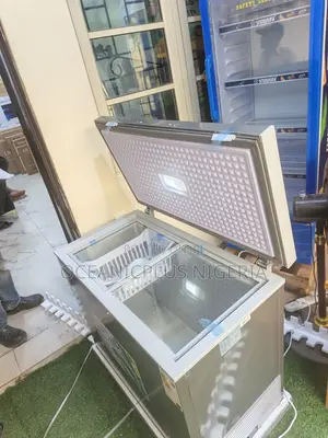Snowsea 220l Bd-308g Freestanding Chest Freezer