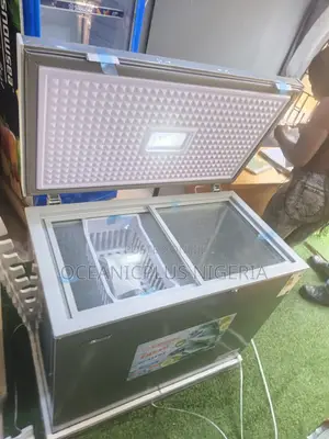 Snowsea Bd-308g 220l Unit Chest Freezer for Cold Storage