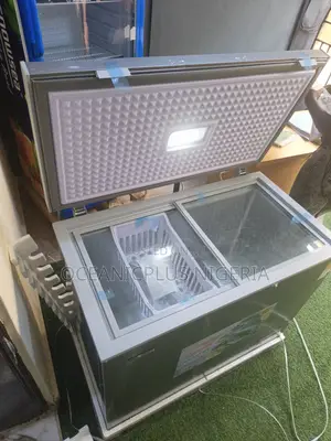 Snowsea Bd-308g Chest Freezer for Frozen Goods