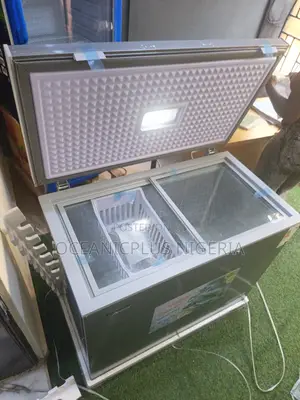 Snowsea Bd-308g Deep Freezer for General Storage