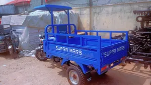 New Tricycle 2025 Blue