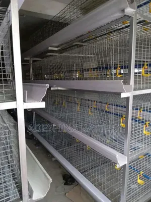Exclusive Cages