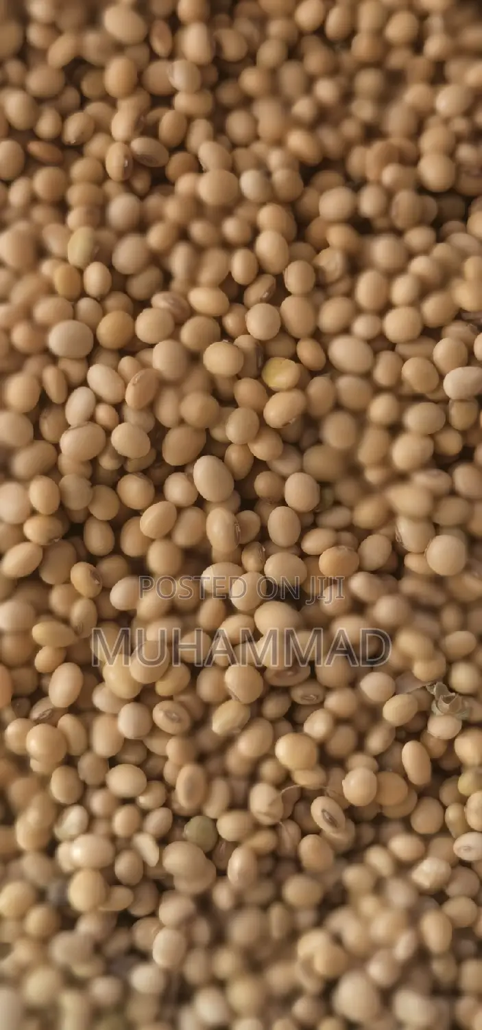 Soya Beans