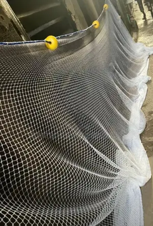 Original Fish Net