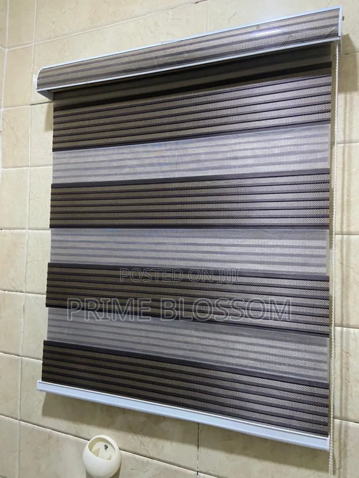 Window Blind Shades