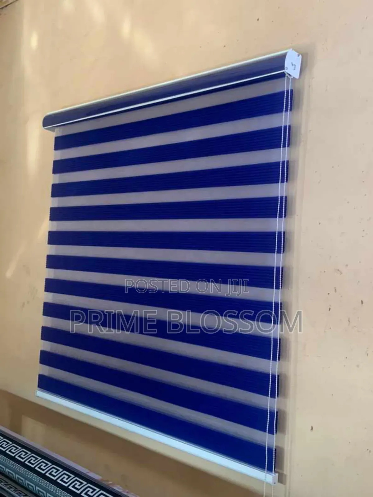 Window Blind Shades