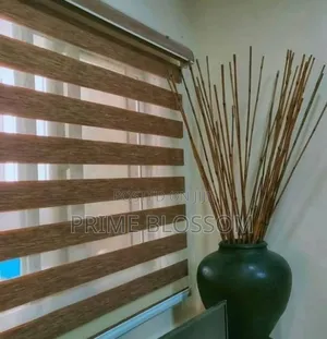 Window Blind Shades