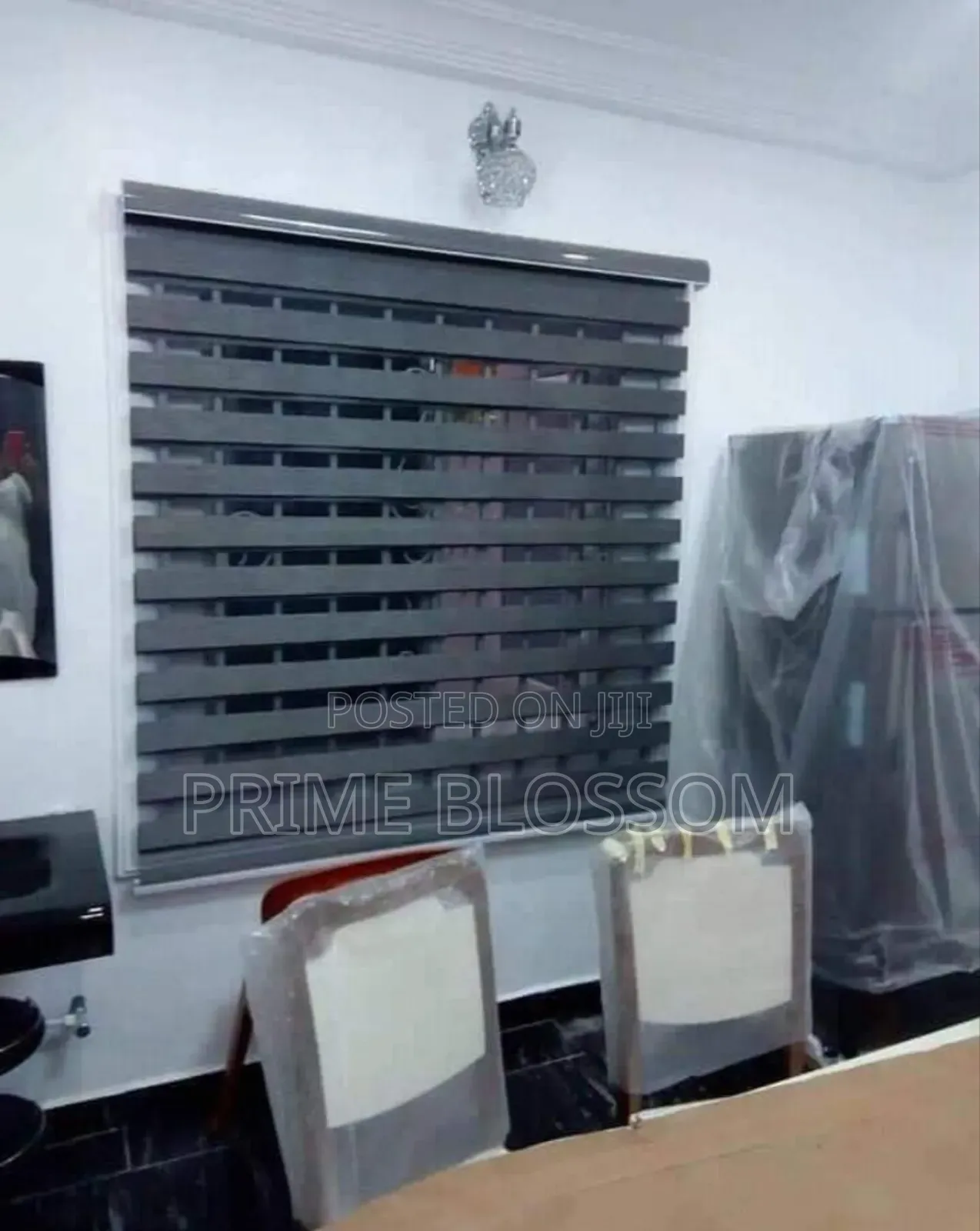 Window Blind Shades