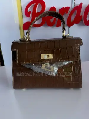 Ladies Hand Bag