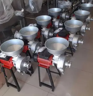 Wet and Dry Grinder