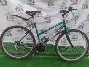 Adult Bicycle Size 26 Magna With Water Bottle Holder
