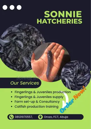 Fish Farming Consultant