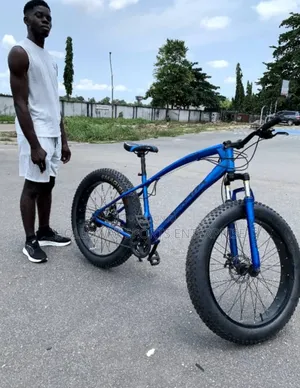 Big Tyre Bicycle Spoke Wheel