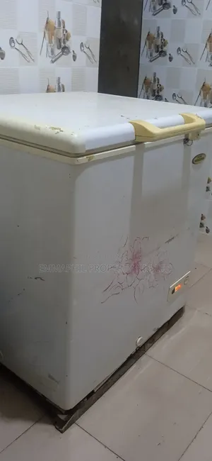Thermocool Deep Freezer