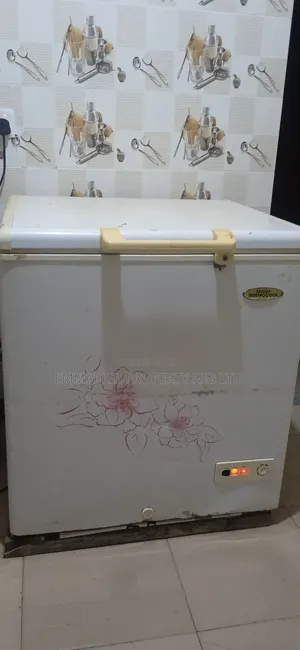 Thermocool Deep Freezer