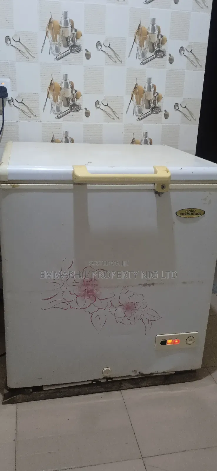 Thermocool Deep Freezer