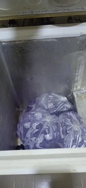 Thermocool Deep Freezer